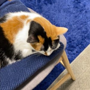 Meet your Posher, James